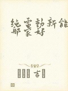 纯电动新能源车哪家好
