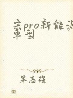 宋pro新能源车型