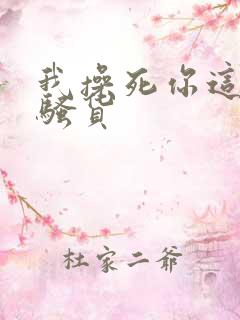 我操死你这个小骚货