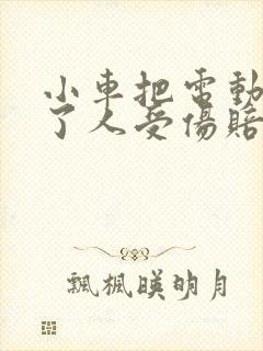 小车把电动车撞了人受伤赔偿标准