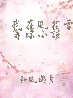 我在风花雪夜里等你小说