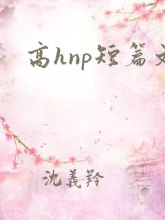 高hnp短篇文