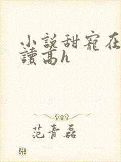 小说甜宠在线阅读高h