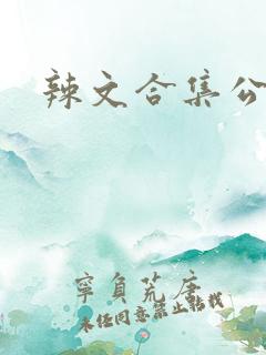 辣文合集公车