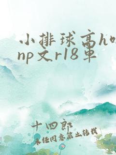 小排球高h啪肉np文r18车