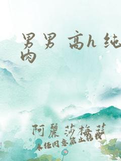 男男 高h 纯肉 男男 高h 纯肉