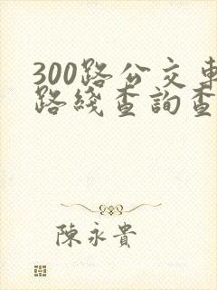 300路公交车路线查询查