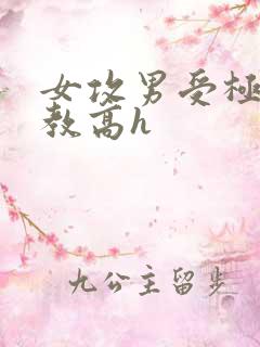 女攻男受极限调教高h