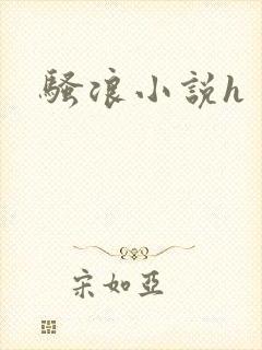 骚浪小说h