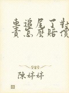 车追尾了对方全责怎么赔偿
