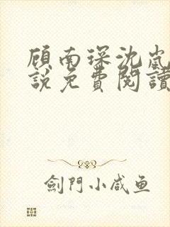 顾南琛沈岚晚小说免费阅读最新章节更新