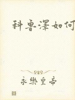 科鲁泽如何