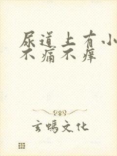 尿道上有小水泡不痛不痒