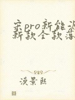 宋pro新能源新款全款落地价
