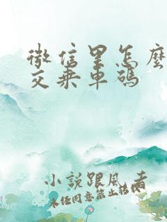 微信里怎么找公交乘车码