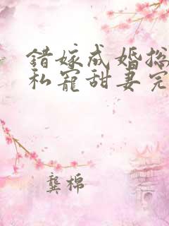 错嫁成婚总裁的私宠甜妻完结版 错嫁成婚总裁的私宠甜妻完结版