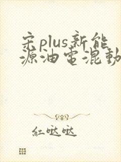宋plus新能源油电混动 宋plus新能源油电混动