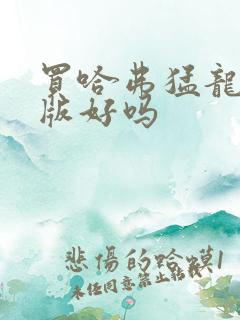 买哈弗猛龙燃油版好吗
