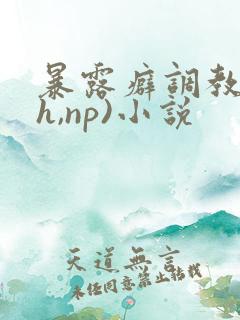 暴露癖调教(高h,np)小说