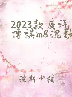 2023款广汽传祺m8混动版