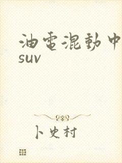 油电混动中大型suv