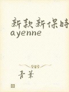 新款新保时捷cayenne 新款新保时捷cayenne