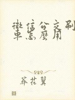 微信公交刷码乘车怎么用