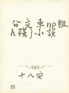 公交车np粗暴h强j小说