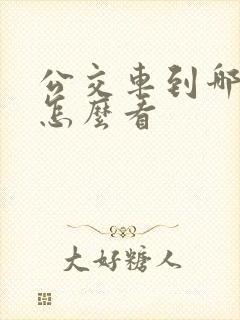公交车到哪里了怎么看