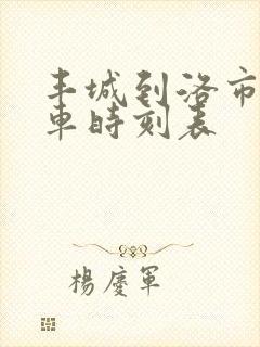 丰城到洛市公交车时刻表
