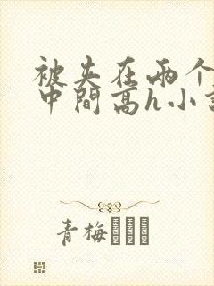 被夹在两个男的中间高h小说