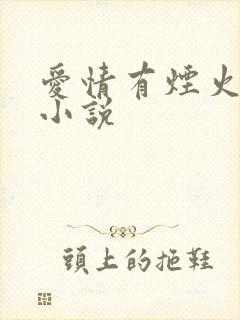 爱情有烟火原著小说