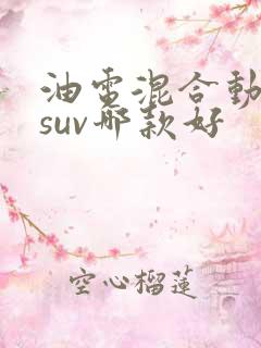 油电混合动力车suv哪款好