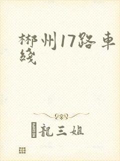 郴州17路车路线