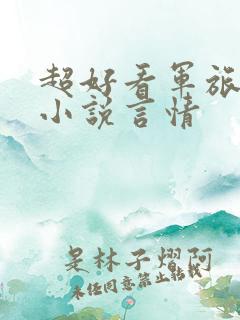 超好看军旅甜文小说言情
