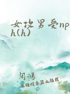 女攻男受np高h(h)