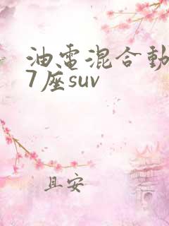 油电混合动力车7座suv