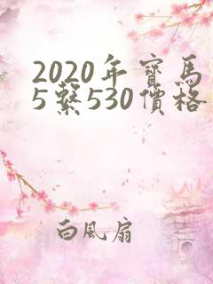 2020年宝马5系530价格