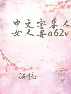 中文字幕人妻熟女人妻a62v网址