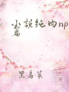 小说纯肉np短篇