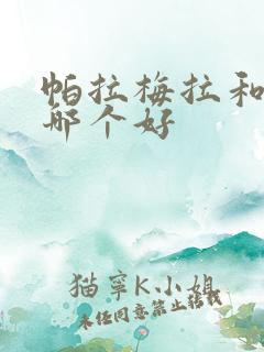 帕拉梅拉和卡宴哪个好