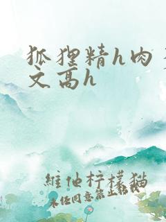狐狸精h肉多荤文高h