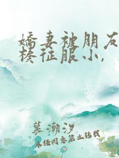 娇妻被朋友大肉楱征服小, 娇妻被朋友大肉楱征服小,