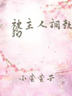 被主人调教的母狗