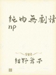 纯肉无剧情高hnp