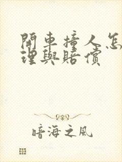 开车撞人怎么处理与赔偿