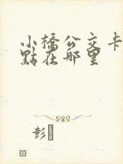 小桥公交卡充值点在哪里