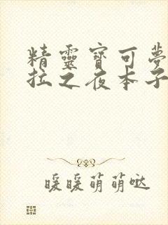 精灵宝可梦阿罗拉之夜本子