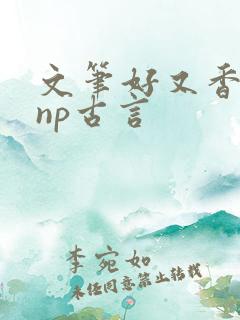 文笔好又香艳的np古言