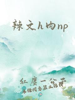 辣文h肉np 辣文h肉np